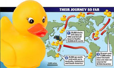 ducktravel